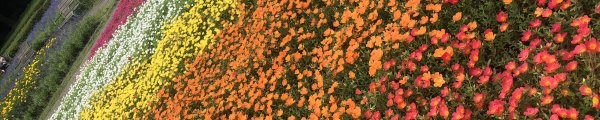 クリエイタートップイメージ